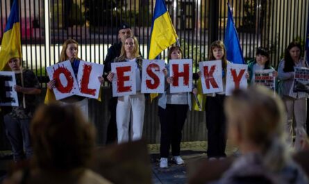 oleshky-allo-stremo,-leone-chiede-la-tregua:-cosa-accade-nella-citta-occupata-dai-russi-–-notizie-–-ansa.it-redazione-ansa