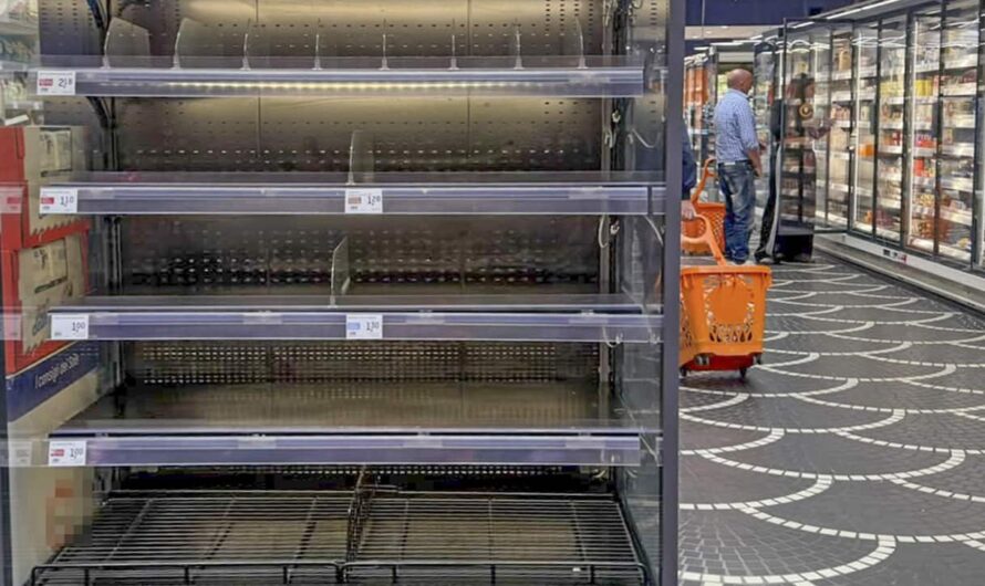 Sciopero autotrasportatori e supermercati vuoti, cos’è il panic buying e come difendersi Redazione Sky TG24